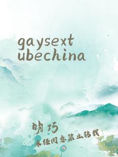 gaysextubechina
