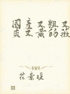 国产又粗又猛又爽又黄的薇视频