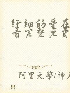 纤细的爱在线观看完整免费版电视剧