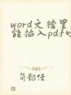 word文档里能插入pdf吗