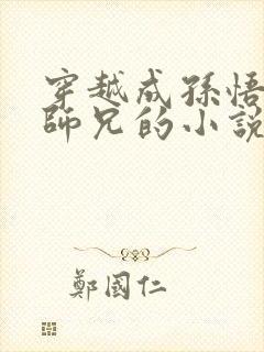 穿越成孙悟空的师兄的小说
