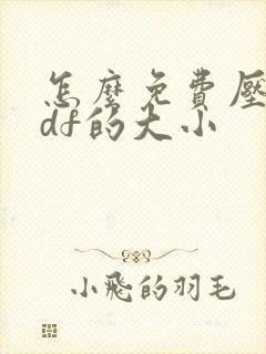 怎么免费压缩pdf的大小