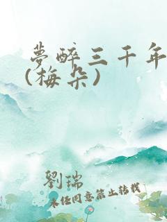 梦醉三千年原唱(梅朵)