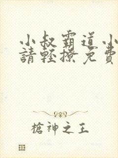 小叔霸道小叔 请轻撩免费漫画