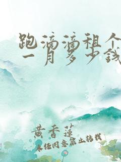 跑滴滴租个电车一月多少钱