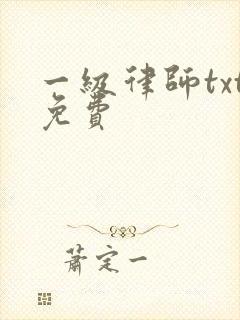 一级律师txt免费