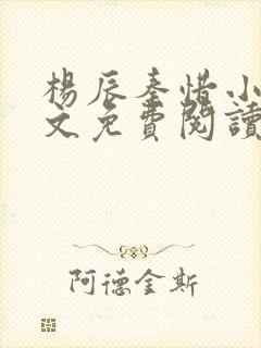 杨辰秦惜小说全文免费阅读最新章节更新
