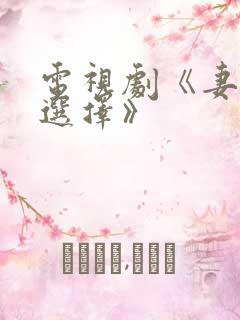 电视剧《妻子的选择》