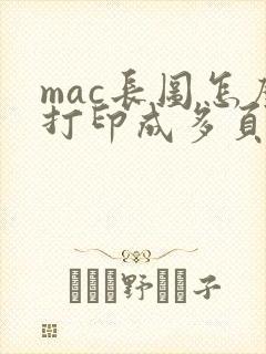 mac长图怎么打印成多页