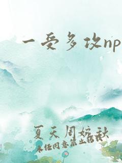 一受多攻np受