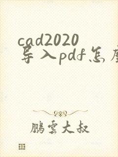 cad2020导入pdf怎么去除边框