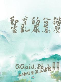 节育的公猫还到处乱尿怎么办