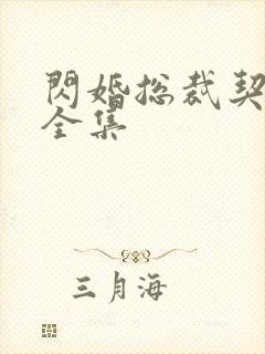 闪婚总裁契约妻全集