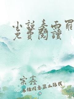 小说秦雨罗兴旺免费阅读