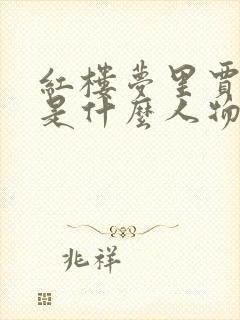 红楼梦里贾元春是什么人物