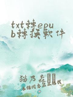 txt转epub转换软件
