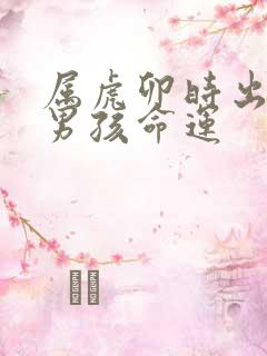 属虎卯时出生的男孩命运