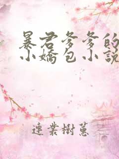 暴君爹爹的团宠小娇包小说免费阅读