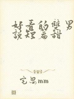好看的双男主小说短篇甜