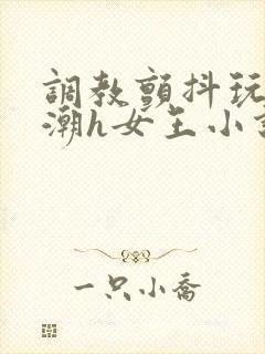 调教颤抖玩弄高潮h女王小说