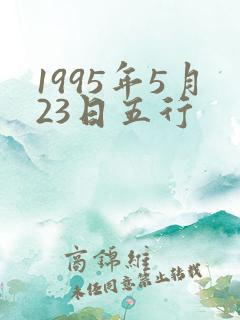 1995年5月23日五行
