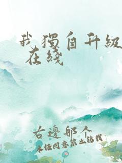 我独自升级动漫 在线