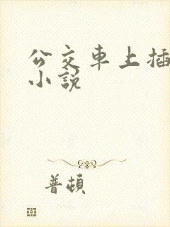 公交车上插美女小说