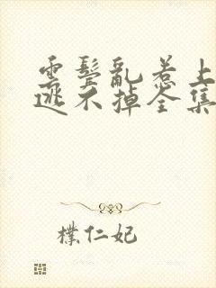 云鬓乱惹上权臣逃不掉全集阅读