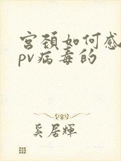 宫颈如何感染hpv病毒的