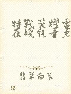 特战荣耀电视剧在线观看免费完整版