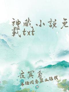 神藏小说免费下载txt