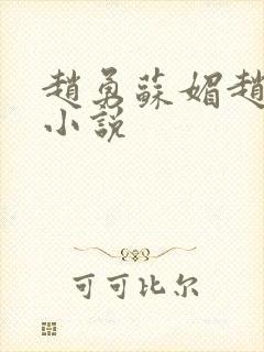 赵勇苏媚赵大宝小说