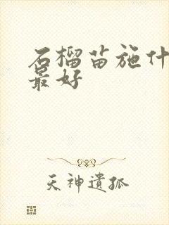 石榴苗施什么肥最好