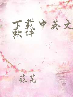 下载中英文翻译软件