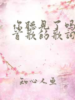 你听见了吗是哪首歌的歌词