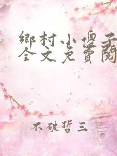 乡村小傻子小说全文免费阅读