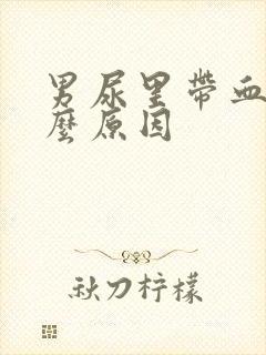 男尿里带血是什么原因