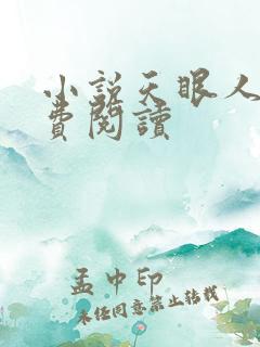 小说天眼人生免费阅读