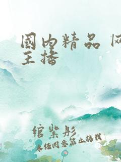 国内精品 网红主播