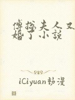 傅总夫人又闹离婚了小说