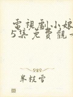 电视剧小娘惹45集免费观看大结局剧情