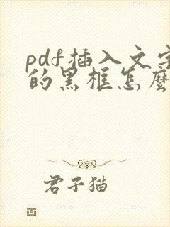 pdf插入文字的黑框怎么去掉