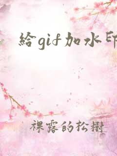 给gif加水印