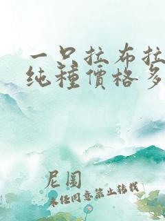 一只拉布拉多犬纯种价格多少钱