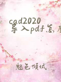cad2020导入pdf怎么去除边框