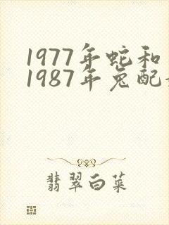 1977年蛇和1987年兔配婚姻好不好