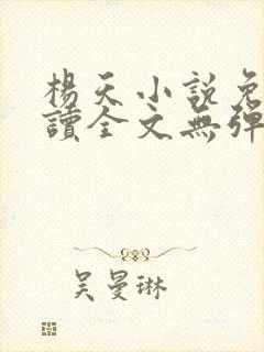 杨天小说免费阅读全文无弹窗