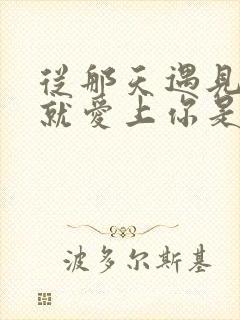 从那天遇见你我就爱上你是什么歌