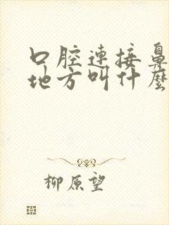 口腔连接鼻腔的地方叫什么