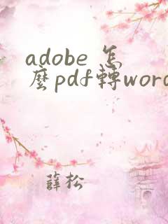 adobe 怎么pdf转word